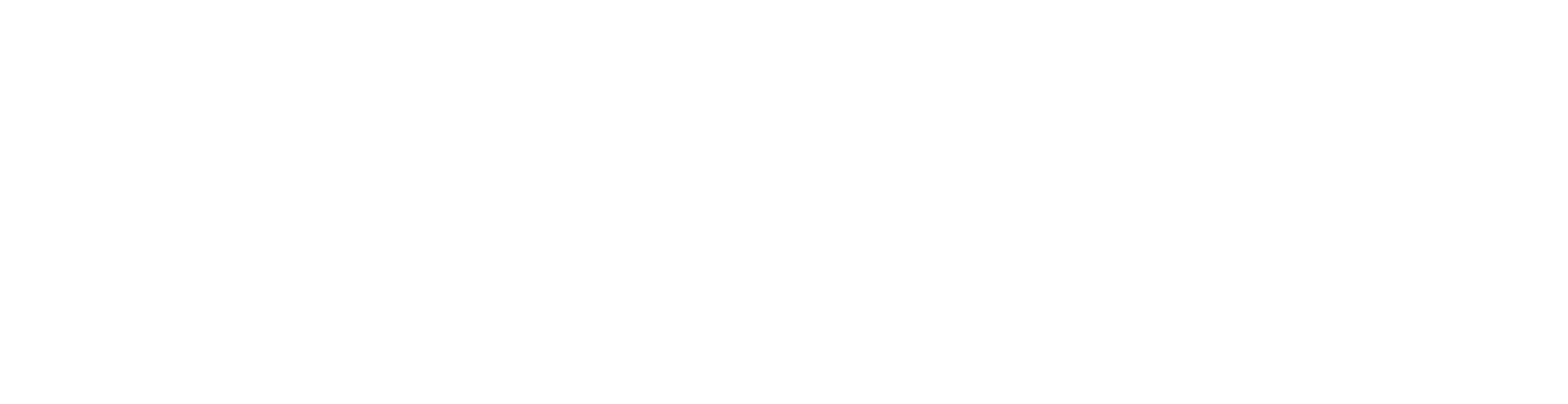 LSS Strategic Partners